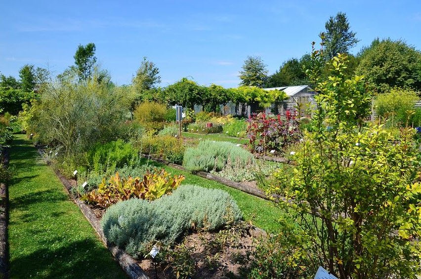 Conservatoire National des Plantes à Parfum, Médicinales et Aromatiques, Milly-la-Forêt, France, France